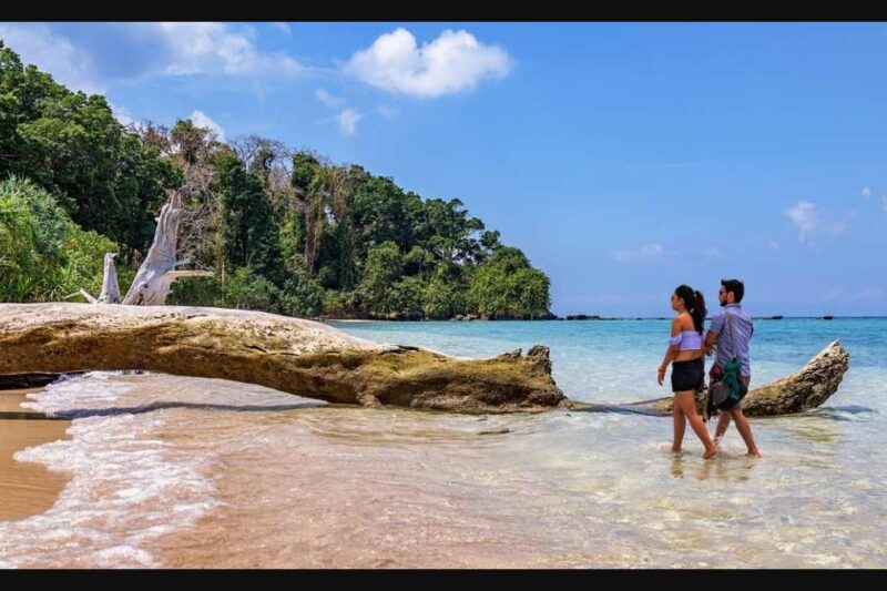 Mesmerising Andaman 3* Hotels